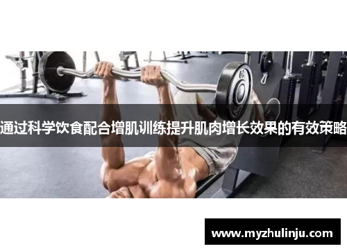 通过科学饮食配合增肌训练提升肌肉增长效果的有效策略
